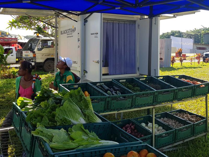Fruits and vegetable harvest displayed in front of Solarator
